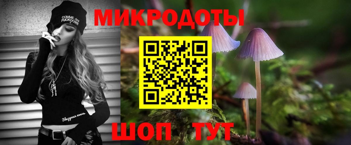 Галлюциногенные грибы Magic Shrooms Москва