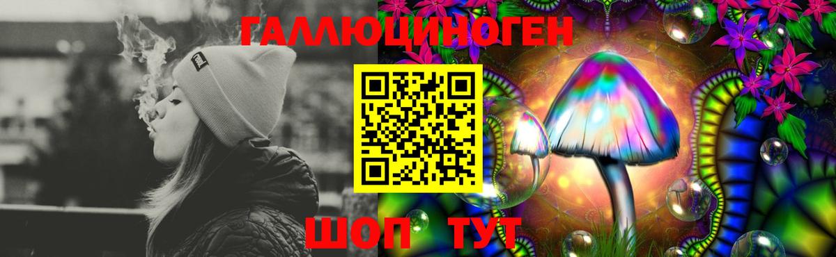 Псилоцибиновые грибы MAGIC MUSHROOMS  Псилоцибиновые грибы GOLDEN TEACHER  купить  цена  Вход с VPN  Москва 